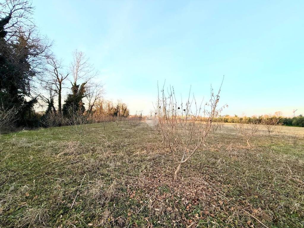 Terreno a Campoformido in Via orgnano, 4 - Foto 5