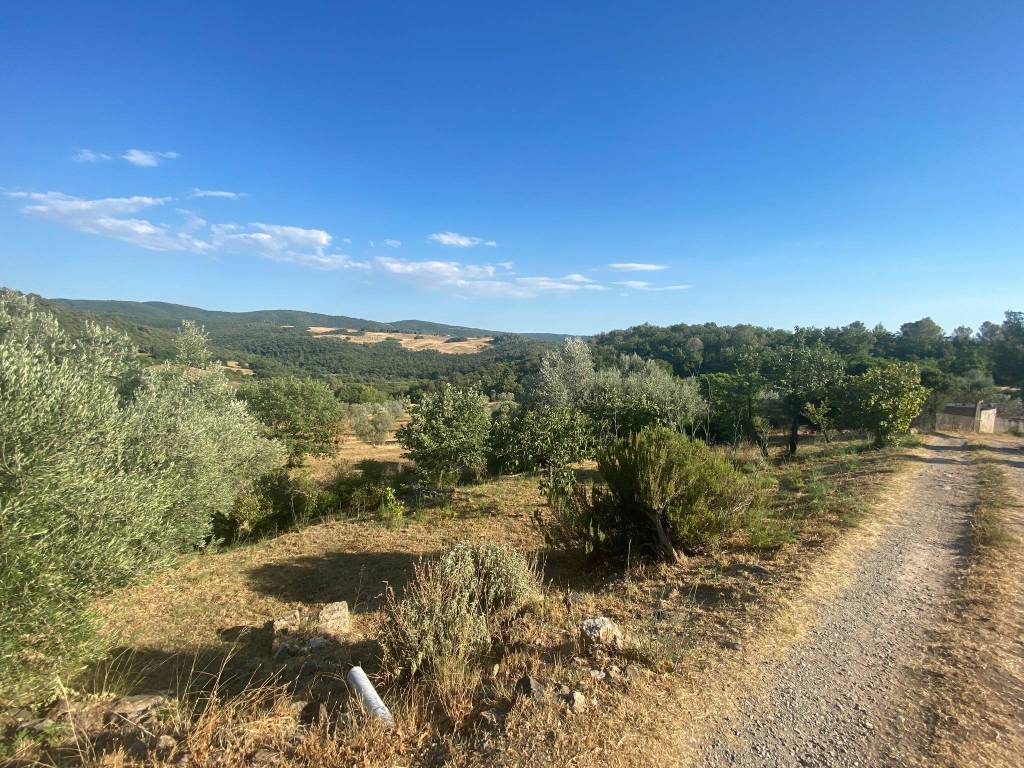 Rustico / casale a Suvereto - Foto 4