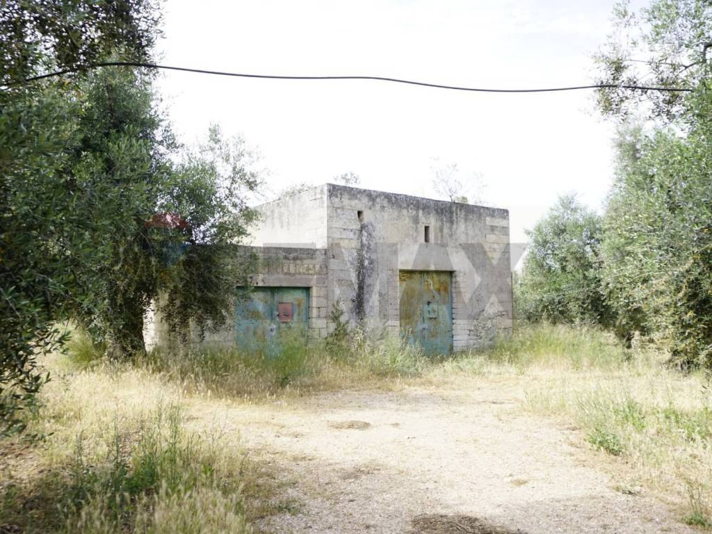 Rustico / casale a Vieste in Località Focareta - Foto 2