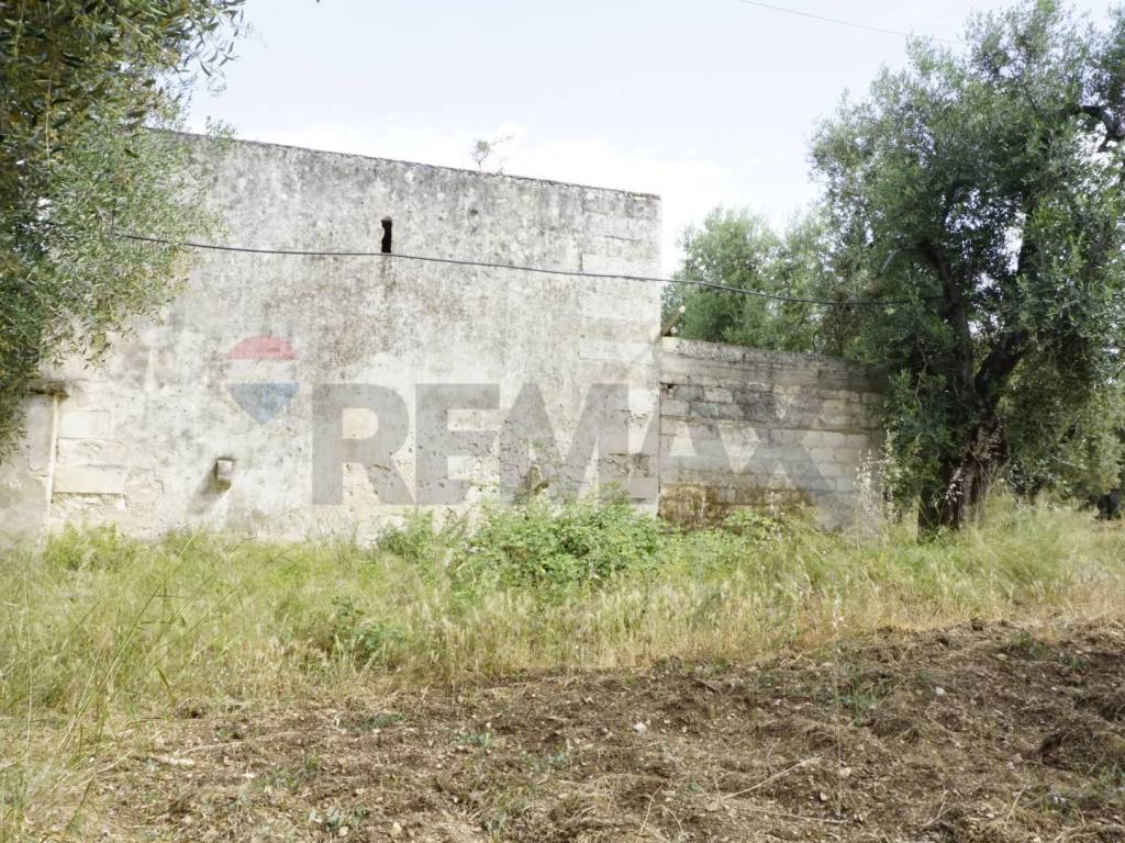 Rustico / casale a Vieste in Località Focareta - Foto 4