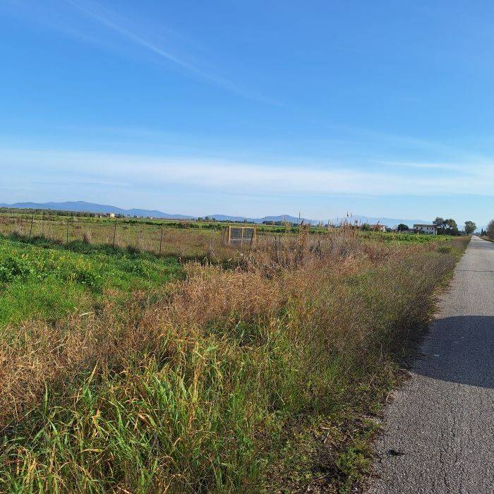 Terreno a Grosseto in Strada Squadre 2, 4 - Foto 4
