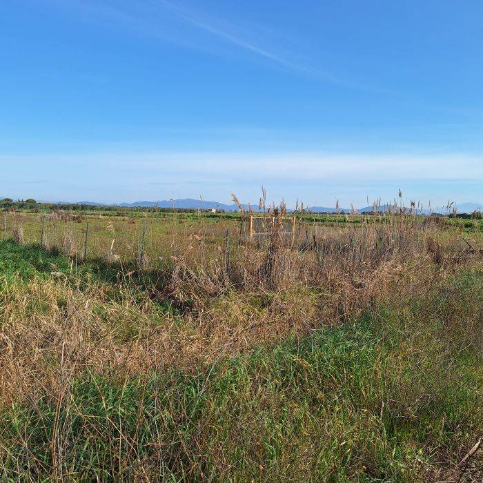 Terreno a Grosseto in Strada Squadre 2, 4 - Foto 5