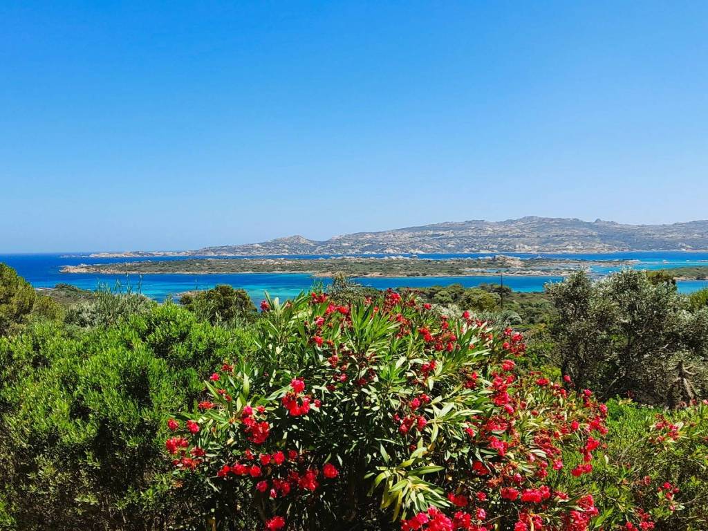 Villa a La maddalena - Foto 2
