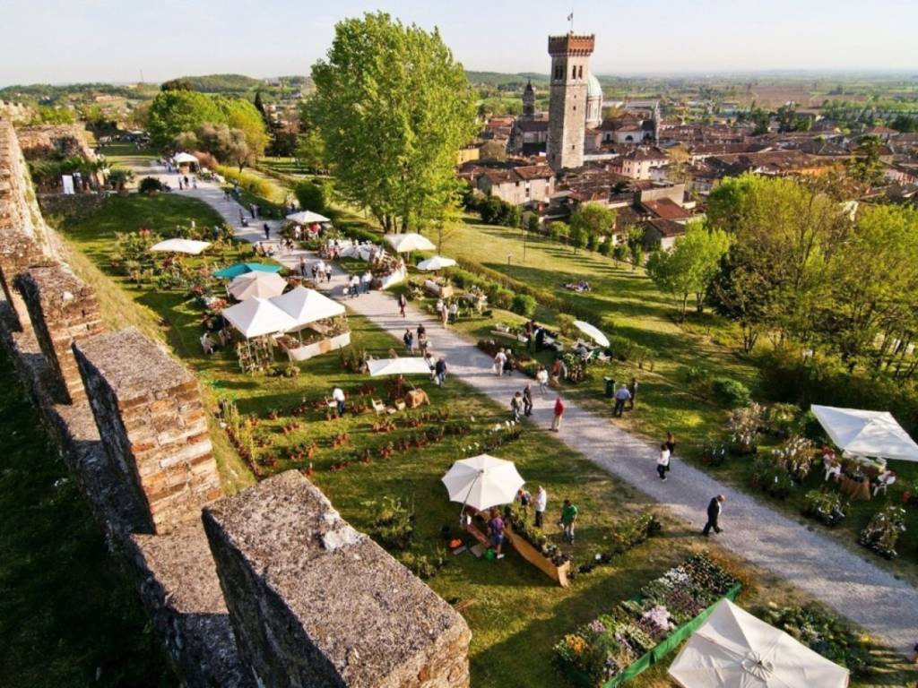 Appartamento a Lonato del garda - Foto 3