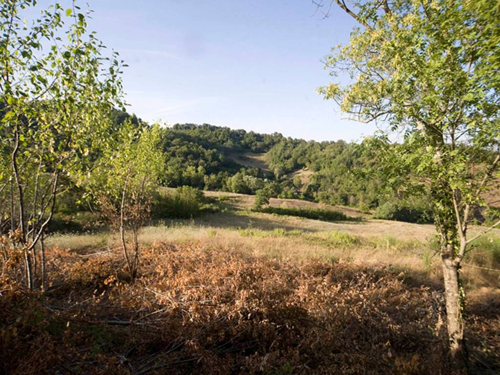 Rustico / casale a Chiusdino - Foto 2