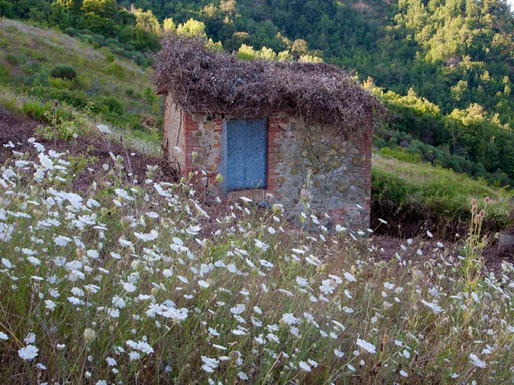Rustico / casale a Chiusdino - Foto 4