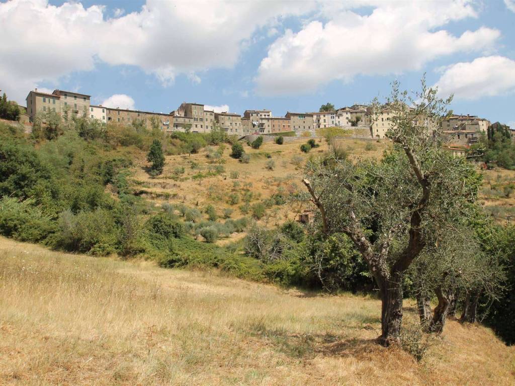 Rustico / casale a Chiusdino - Foto 5