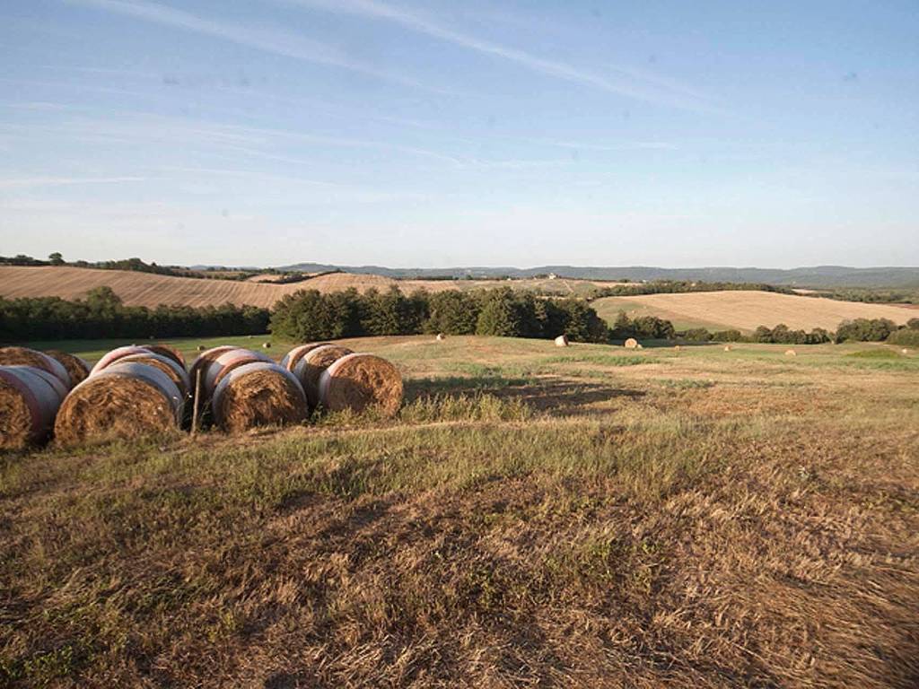Rustico / casale a Chiusdino - Foto 4
