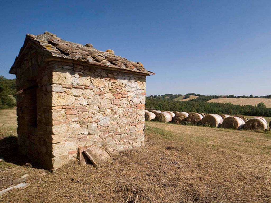 Rustico / casale a Chiusdino - Foto 5