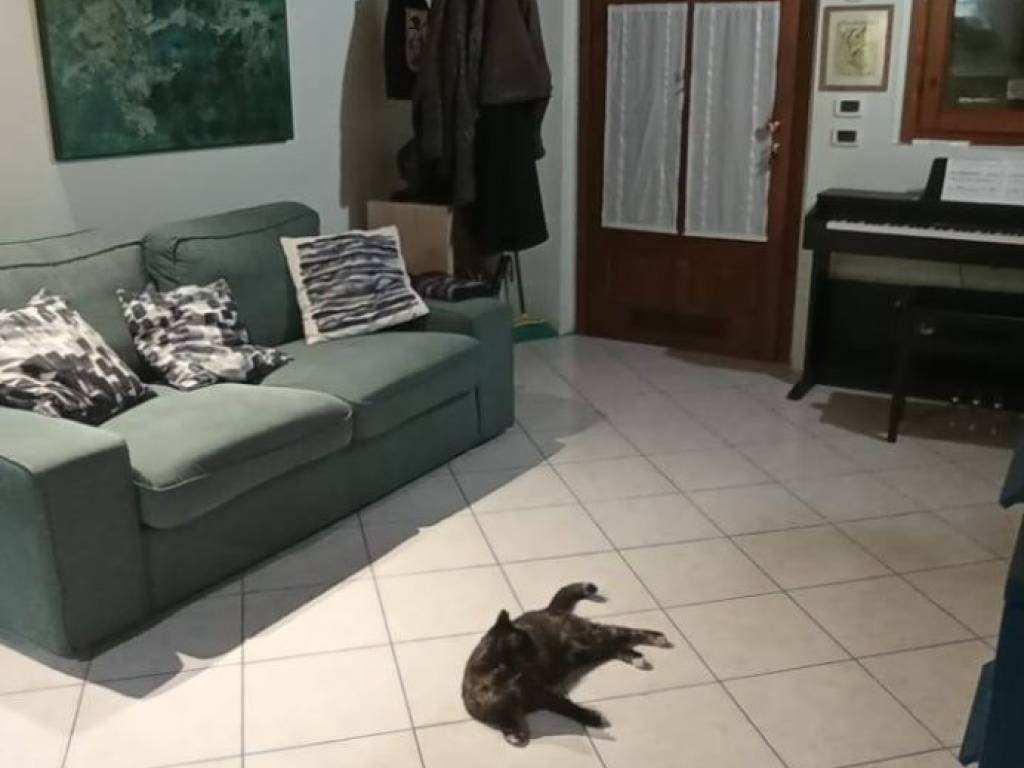 Appartamento a Colle brianza in campsirago - Foto 3