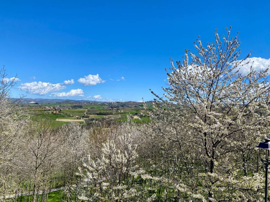 Villa a Mondovì in Vicolo Giuseppe Pizzo, 26 - Foto 3