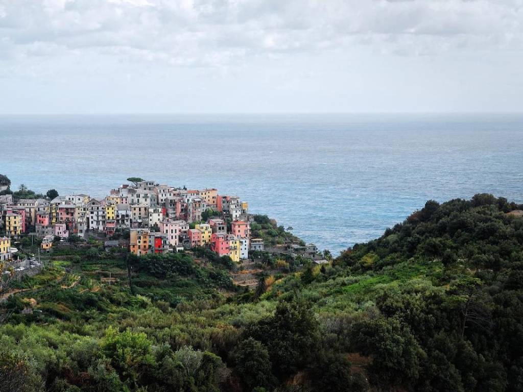 Rustico / casale a Riomaggiore in SP51 - Foto 2