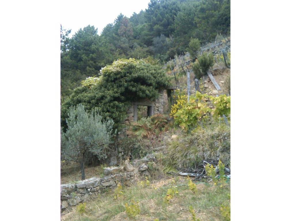 Rustico / casale a Riomaggiore in SP51 - Foto 3