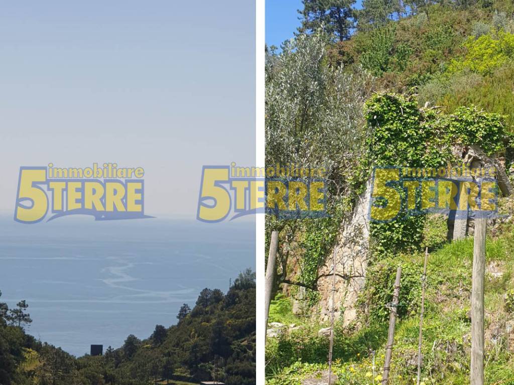 Rustico / casale a Riomaggiore in SP51 - Foto 4