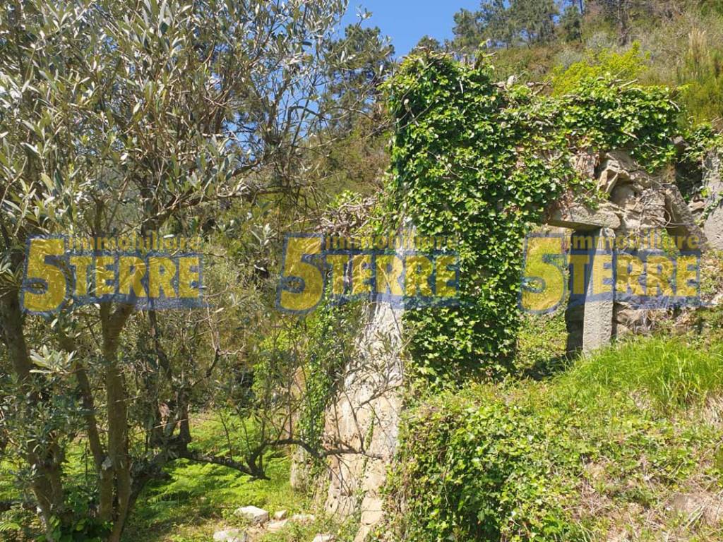 Rustico / casale a Riomaggiore in SP51 - Foto 5