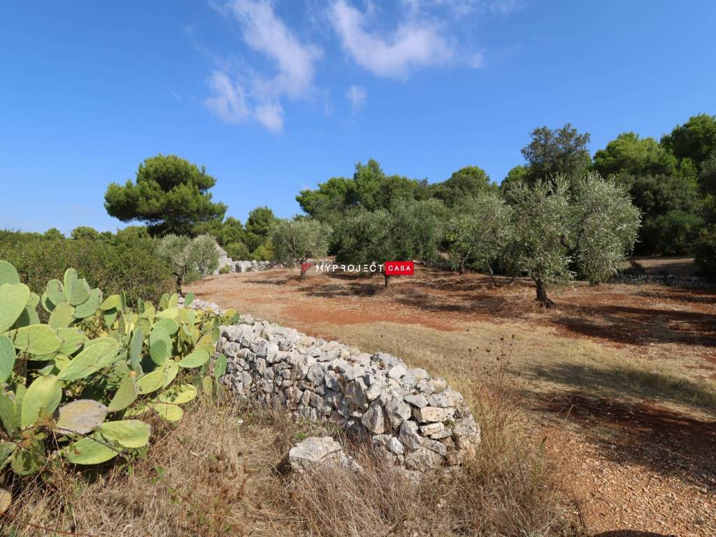 Rustico / casale a Cisternino in Contrada Monte, 1 - Foto 2