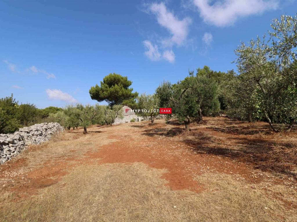 Rustico / casale a Cisternino in Contrada Monte, 1 - Foto 3