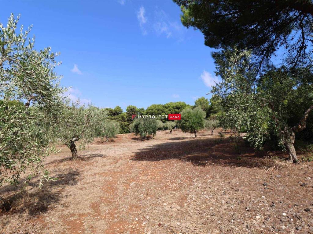 Rustico / casale a Cisternino in Contrada Monte, 1 - Foto 5