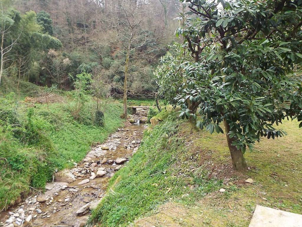 Rustico / casale a Pietrasanta - Foto 3