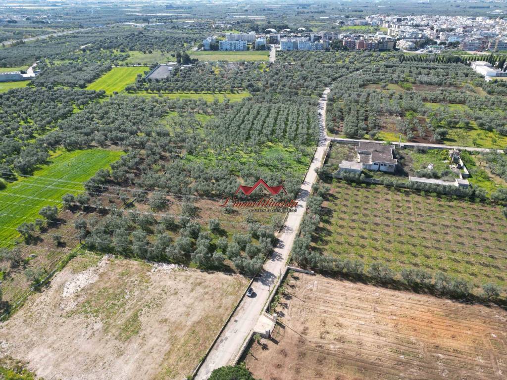 Terreno a Bitritto - Foto 2