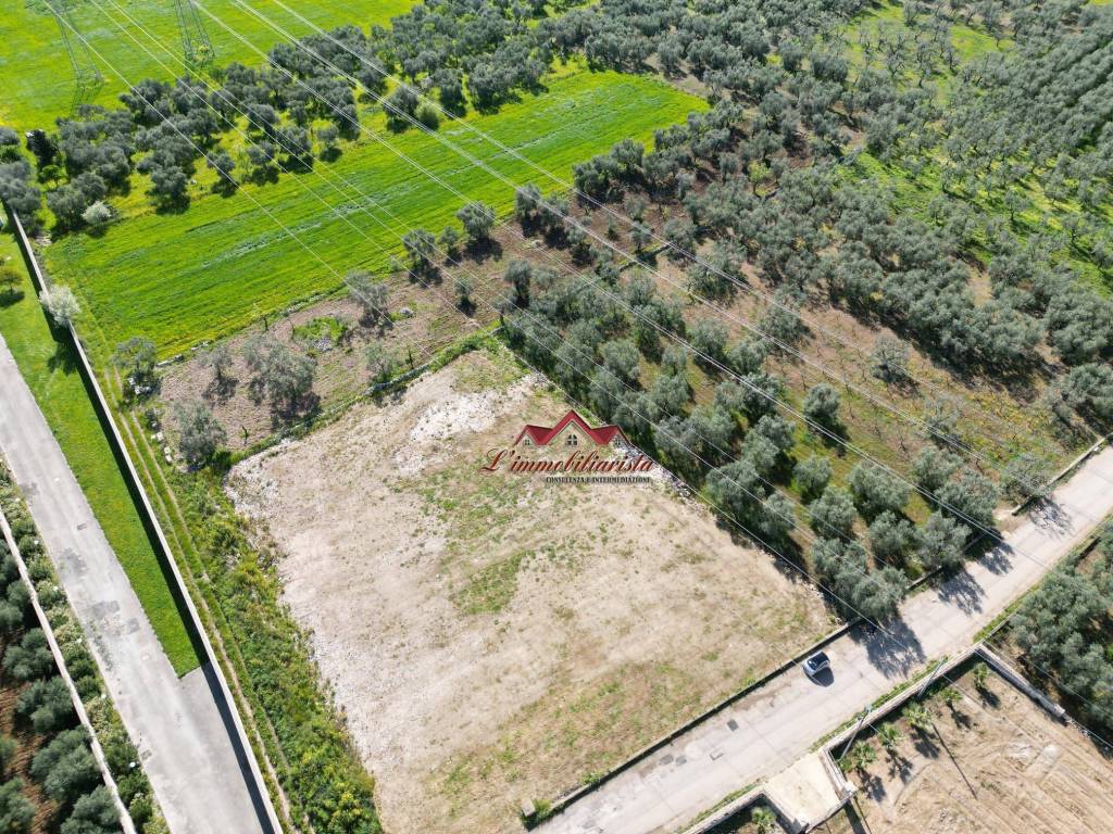 Terreno a Bitritto - Foto 4