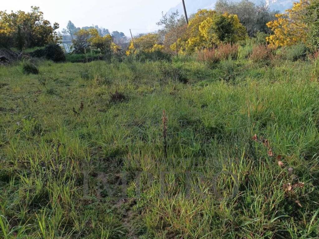 Terreno a San biagio della cima in Strada Cannavaira - Foto 2