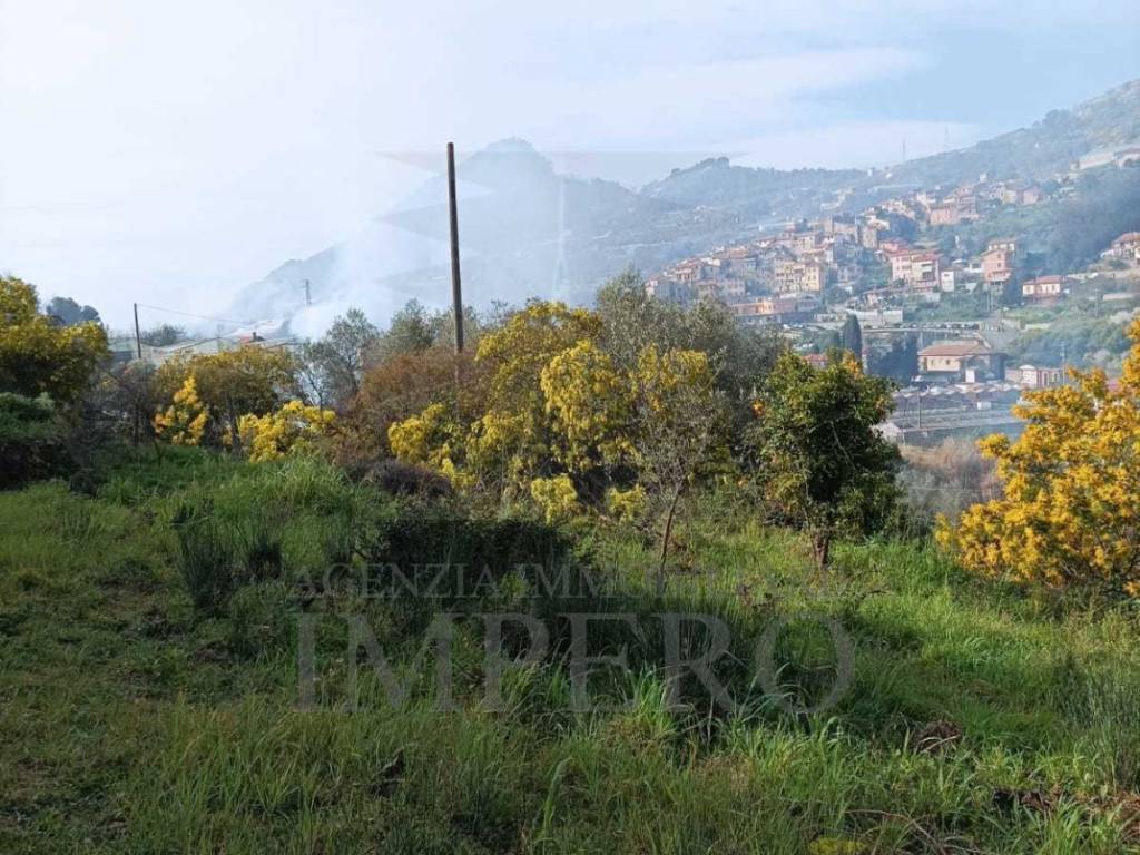 Terreno a San biagio della cima in Strada Cannavaira - Foto 3