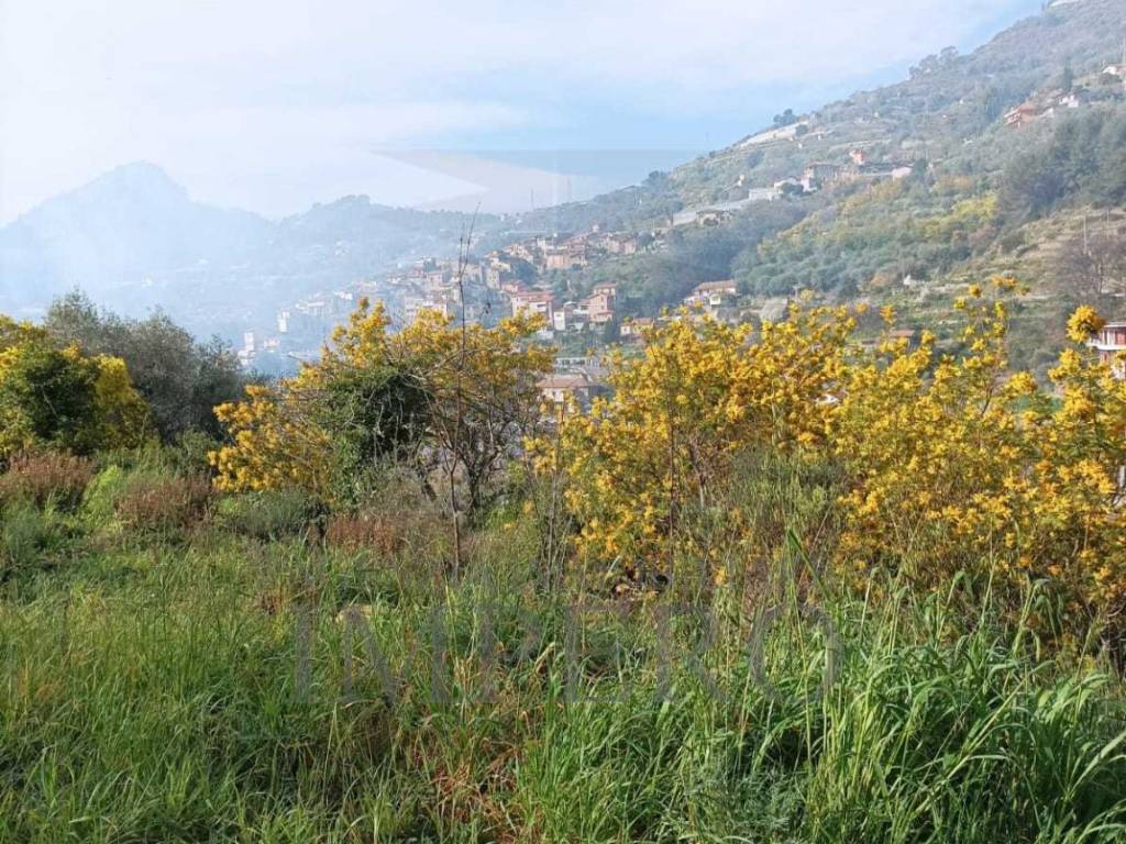Terreno a San biagio della cima in Strada Cannavaira - Foto 4