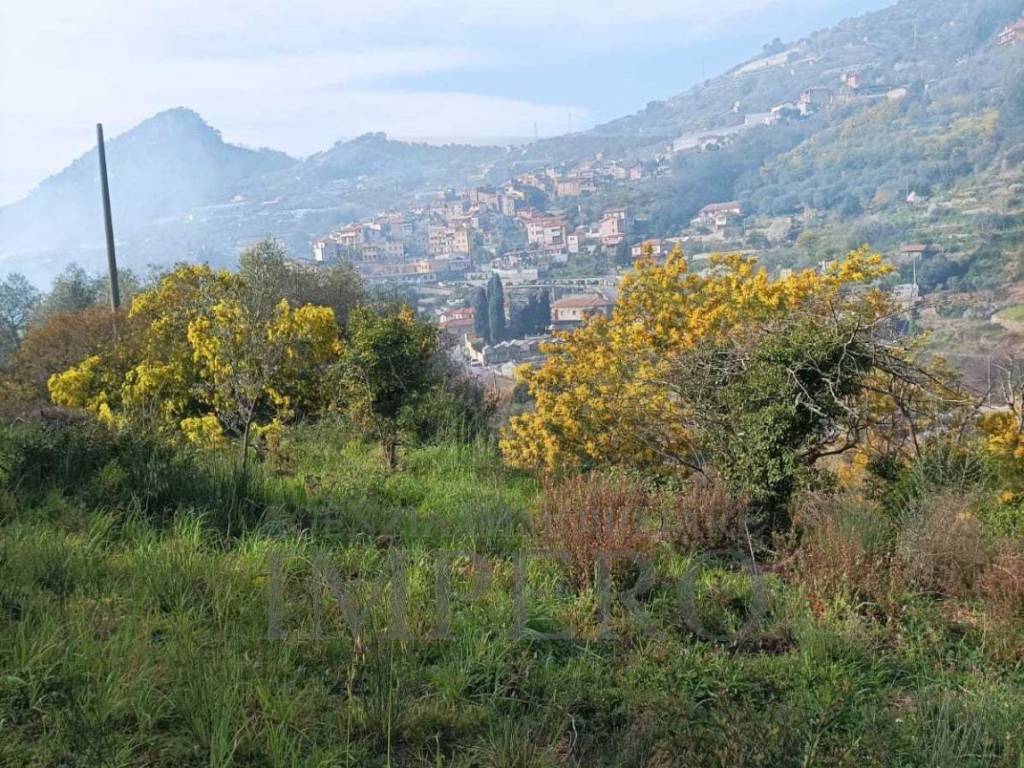 Terreno a San biagio della cima in Strada Cannavaira - Foto 5