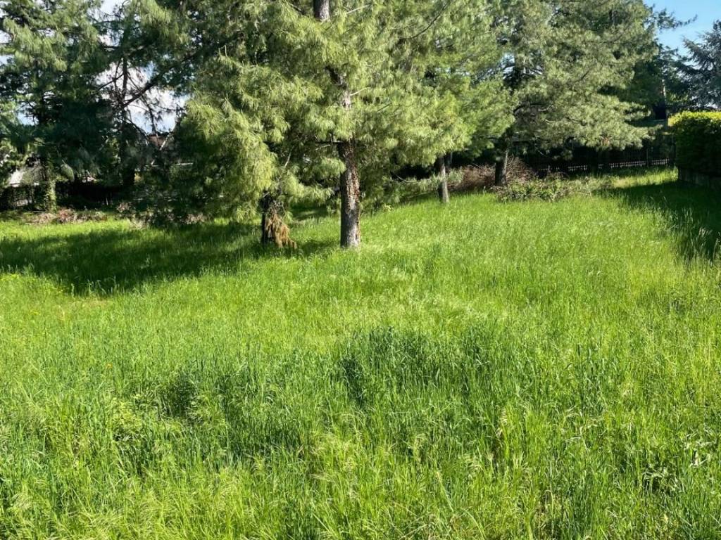 Terreno a Campoformido in Viale delle Mimose - Foto 3