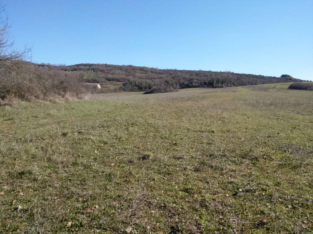 Terreno a Castel madama in Via di Monitola - Foto 5