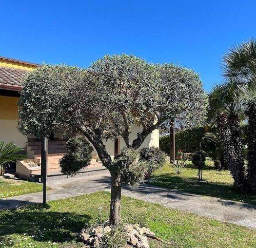 Villa a Scafati in Via Vicinale Bossa - Foto 5