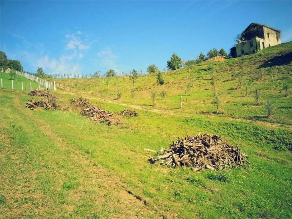 Terreno a Gallinaro in Via Colle Maggio - Foto 2