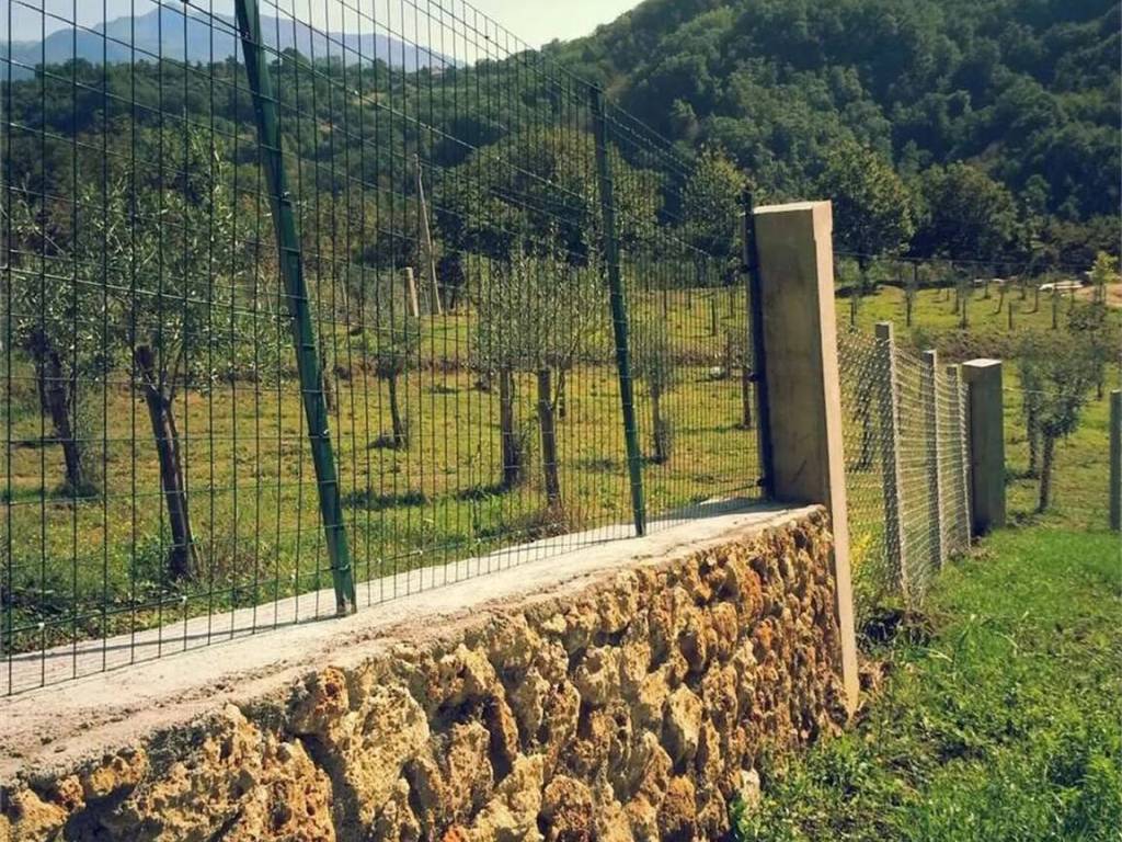 Terreno a Gallinaro in Via Colle Maggio - Foto 3