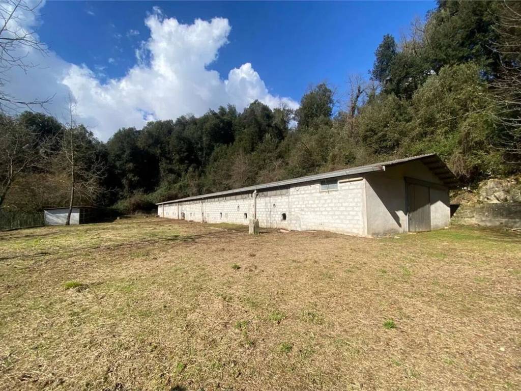 Immobile a Casalvieri in Via Catallo - Foto 2