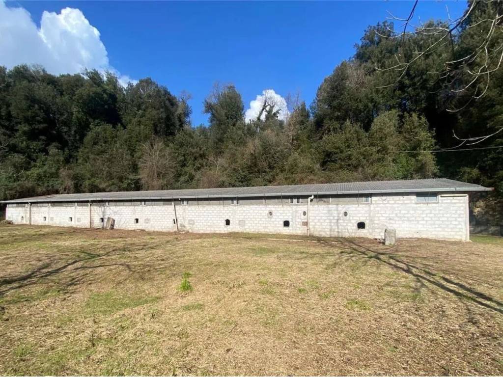 Immobile a Casalvieri in Via Catallo - Foto 3