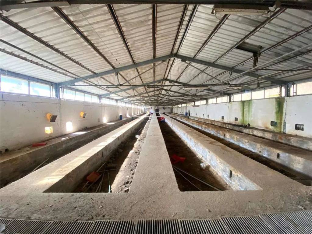 Immobile a Casalvieri in Via Catallo - Foto 4