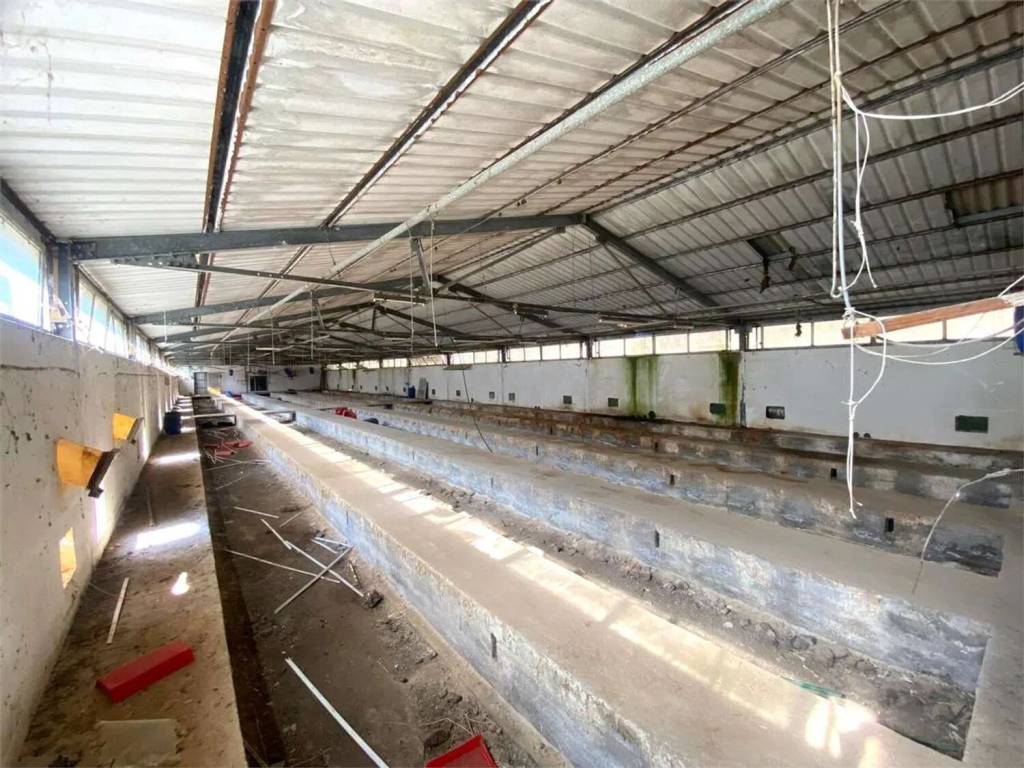 Immobile a Casalvieri in Via Catallo - Foto 5