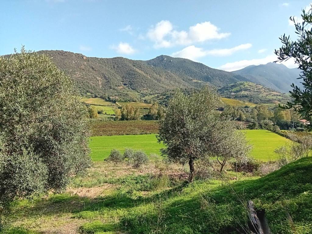 Terreno a Jerzu - Foto 3