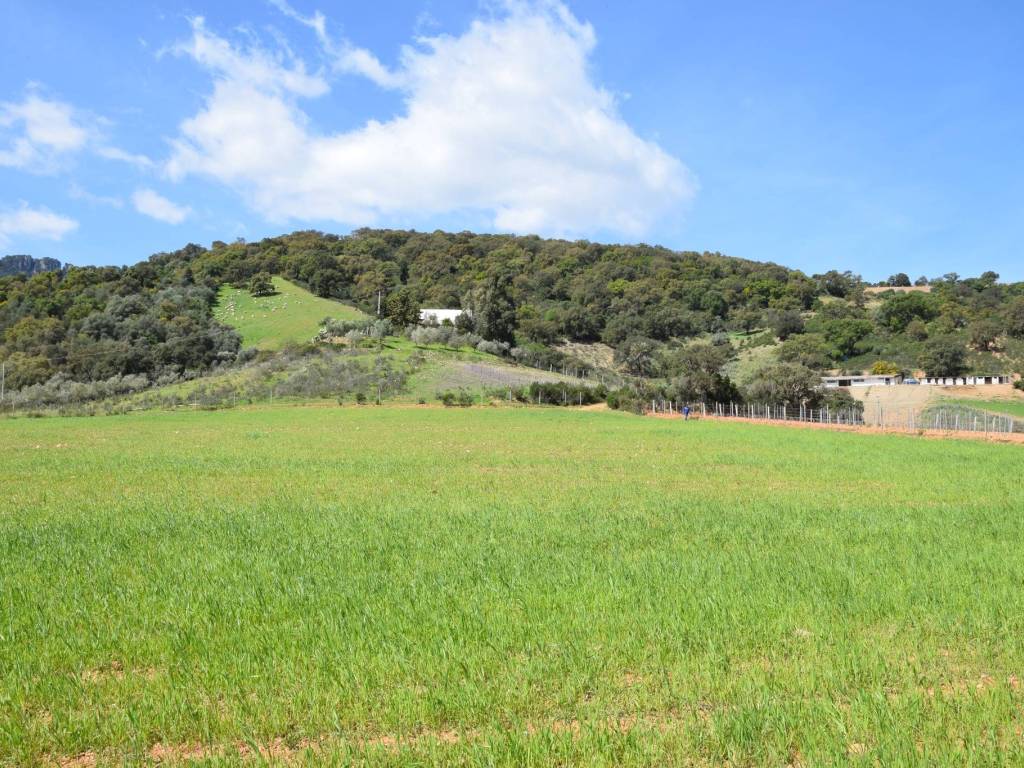 Terreno a Jerzu - Foto 4