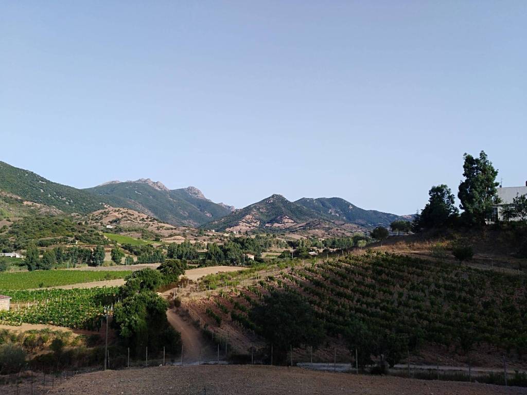 Terreno a Jerzu - Foto 5