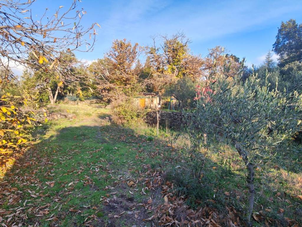 Terreno a Belpasso in Contrada Segreta - Foto 3