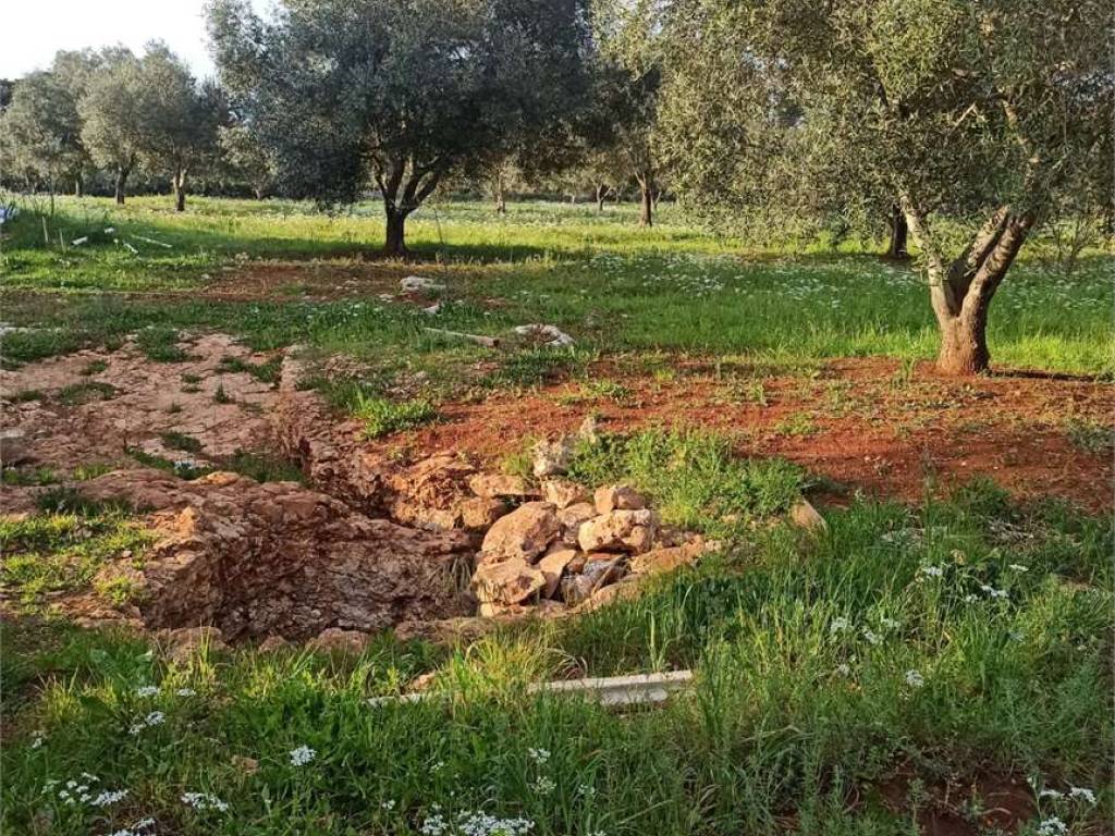 Terreno a Carovigno - Foto 3