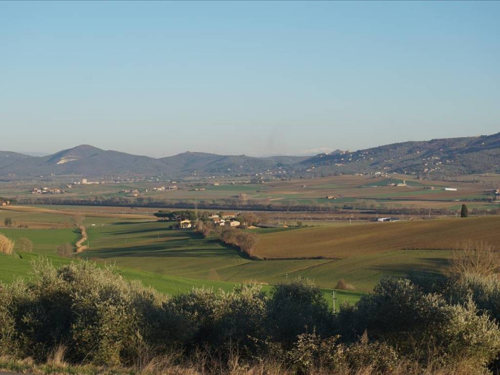 Casa indipendente a Castiglione del lago - Foto 3