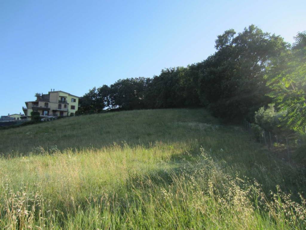 Terreno a Civitanova marche in Contrada San Savino - Foto 5