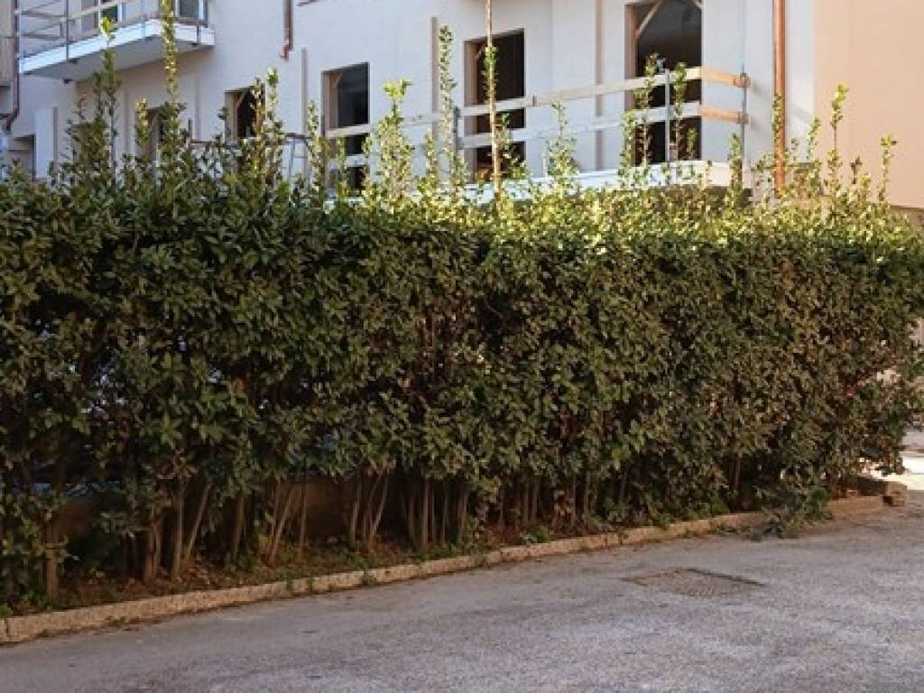 Appartamento a Osimo in Via Guazzatore, 2 - Foto 3