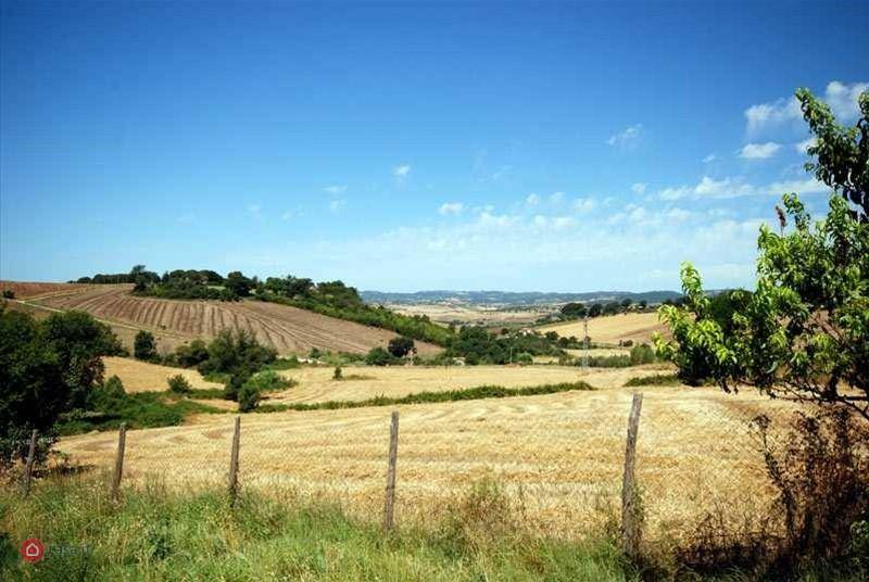 Casa indipendente a Manciano - Foto 4