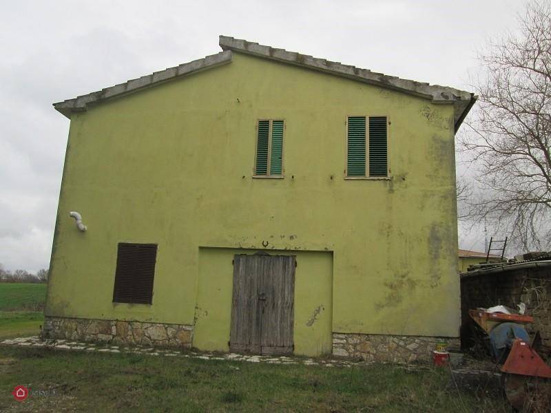 Rustico / casale a Pitigliano - Foto 2