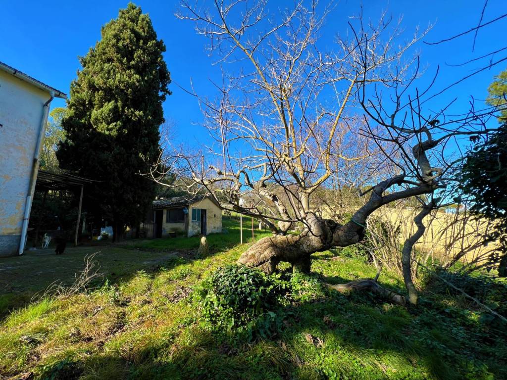 Rustico / casale a Fermo in contrada ponte sant'antonio - Foto 5