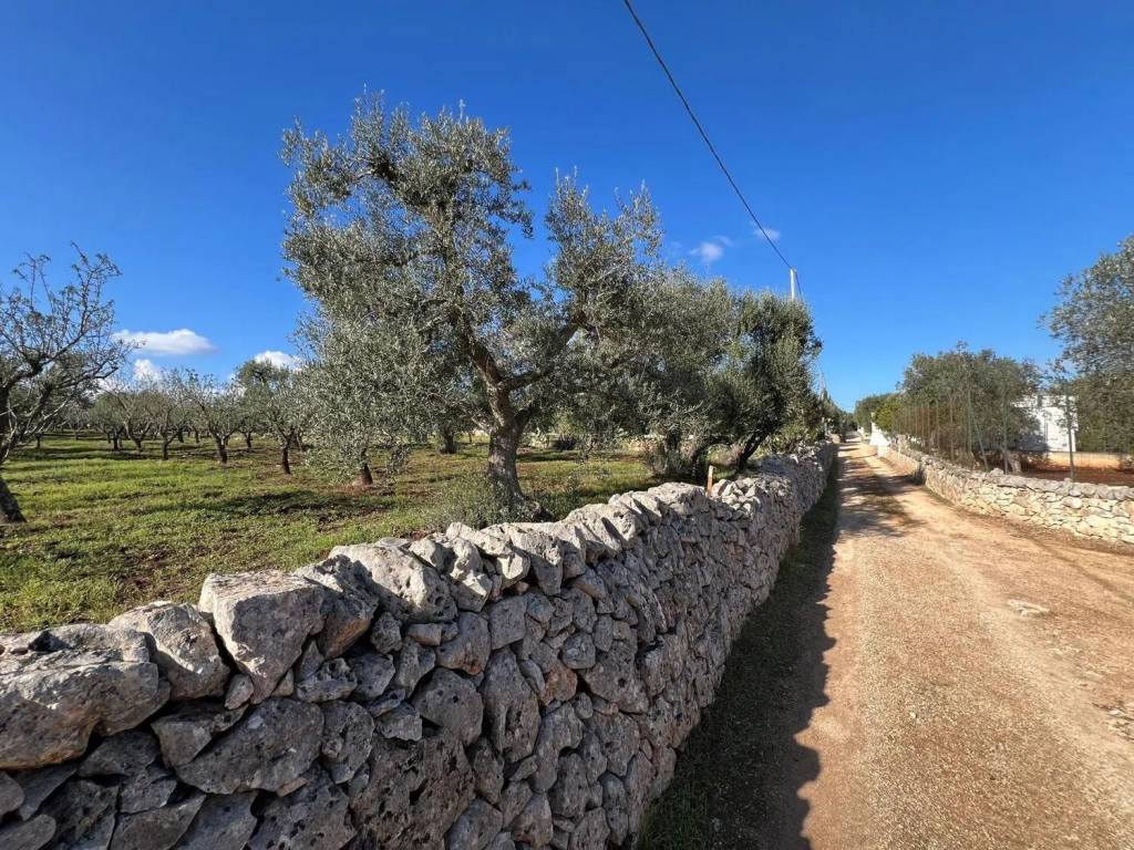 Terreno a Ostuni in Contrada Vallegna S.N.C. - Foto 2